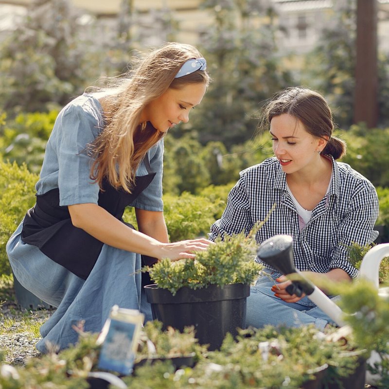 Certificate Of Horticulture